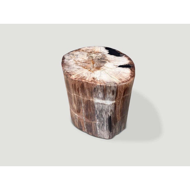 Contemporary Andrianna Shamaris Ancient High Quality Petrified Wood Side Table For Sale - Image 3 of 4