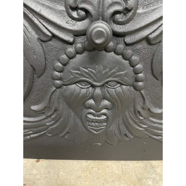 Stunning Late 18th Century 24" X 31" Decorative Cast Iron Fireplace Surround and Insert For Sale - Image 4 of 9