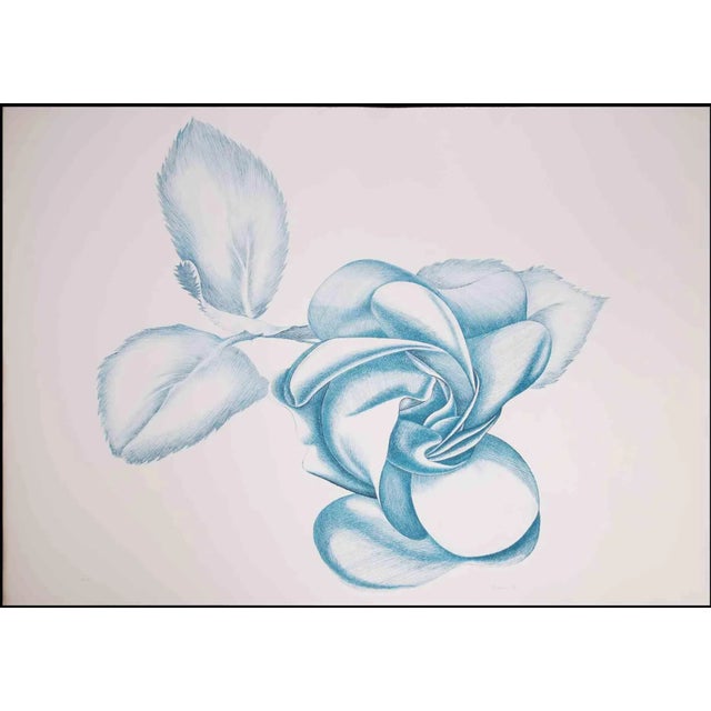 Blue Rose is an original contemporary artwork realized by Giacomo Porzano in 1970s. Colored etching. Hand-signed on the...