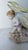 Antique German Porcelain Figural Centerpiece Bowl, of Dresden or Von Schierholz Styles, Hand-Painted Putti For Sale - Image 13 of 15