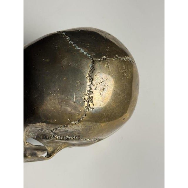 Early 20th Century Bronze Skull For Sale - Image 3 of 14