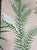 Create a romantic chinoiserie garden indoors with this hand-painted scenic mural wallpaper, beautifully rendered on soft...
