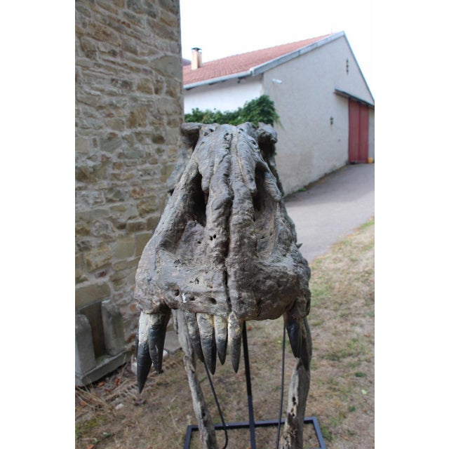 Unknown, Tyrannosaurus Head Fossil for Museum, 1800s, Resin For Sale - Image 12 of 14