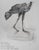 Caesar (César Baldaccini) (1921-1998) Running Hen, 1980 Color lithograph (Arte workshop) Signed in the plate On paper 79.5...