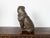 English 19th Century Terracotta Bulldog Statue with Silver Collar and Glass Eyes For Sale - Image 9 of 11