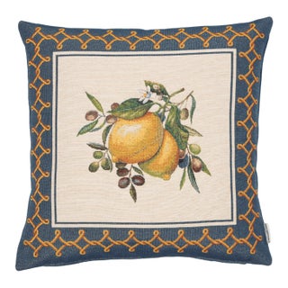 Mediterranean Harvest Woven Cushion With Feather Filler - 42x42cm (17"x17") For Sale