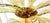 Palm Tree Floor Lamps in Brass & Murano Glass, Set of 2 For Sale - Image 10 of 17