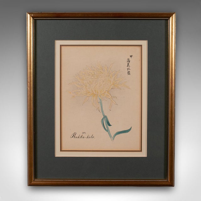 1980s 3 Vintage Botanical Pictures, Japanese, Woodblock Print, After Hasegawa, Art For Sale - Image 5 of 12