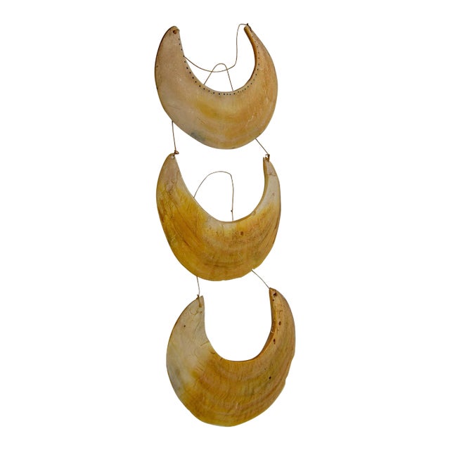 Antique Ethnic Tribal Kina Crescent Shell Necklaces Papua New Guinea Set of 3 For Sale