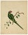 A set of original 1842 watercolour paintings – indian company school, group of 8 indian birds. An outstanding set of 8...
