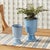 Kenneth Ludwig Chicago Kelcy Footed Cachepots, Set Of 2 For Sale - Image 4 of 6