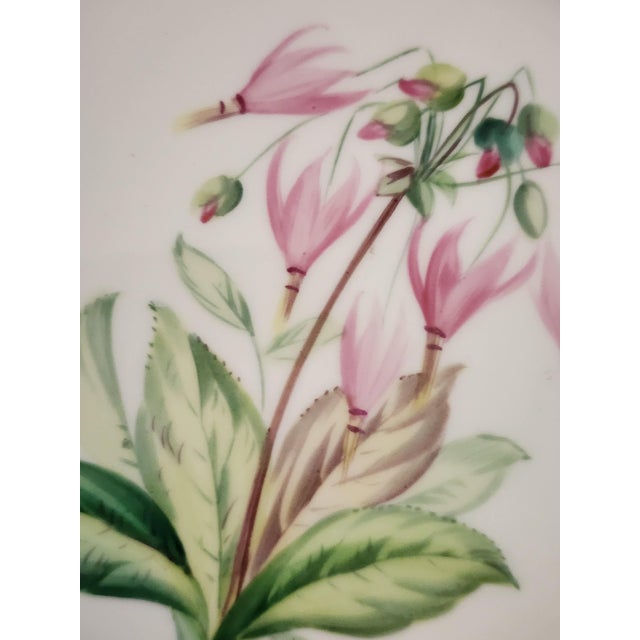 Chamberlain Worcester Porcelain Antique Worcester Royal Porcelain Works Botanical Dessert Plates Set of 6 For Sale - Image 4 of 12