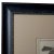 Black French Martinet Bird Folio Engravings - a Pair For Sale - Image 8 of 9