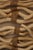 Transitional Willow Wall Art in Acrylic Box For Sale - Image 3 of 3