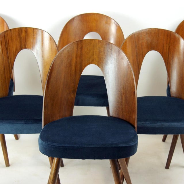 Tatra Chairs in Walnut and Velvet by Šuman, 1960s, Set of 6 For Sale - Image 12 of 18