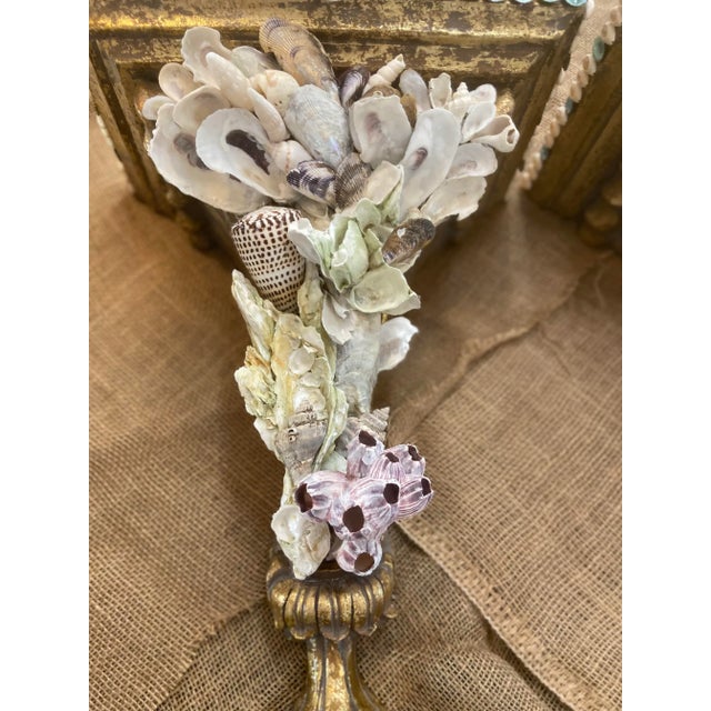 Grand Tour Shell-Encrusted Decorative Wall Brackets - Pair For Sale - Image 3 of 11