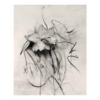 Lily in Charcoal Abstract Expressionism Photography Edition of 10 2023 For Sale