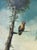 Mid-20th Century Large Ornithological Oil Painting of Songbirds by Ira Monte. For Sale - Image 12 of 12