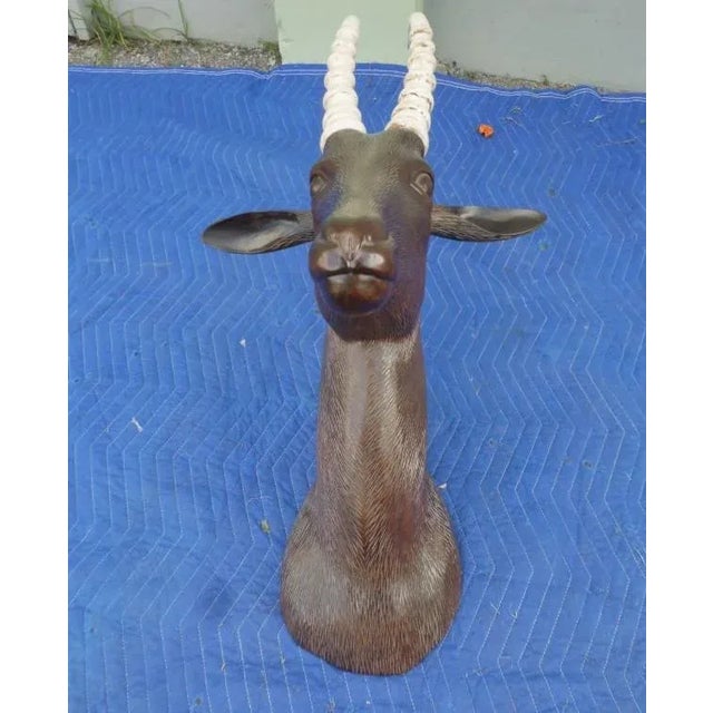 1970s 1970s Figurative Carved Wooden Trophy Female Ibex Head For Sale - Image 5 of 7