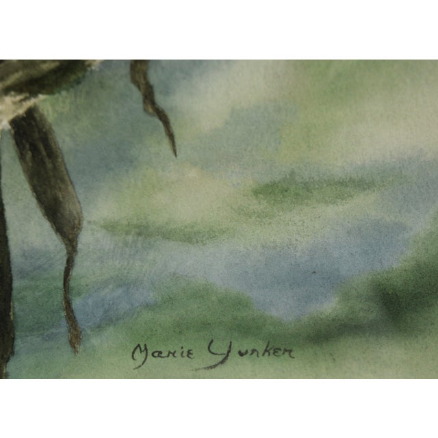 Beargrass - Original Watercolor on Paper by Marie Yunker For Sale - Image 4 of 5