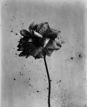 Ugne Pouwell, Comfortably Dark, 2025, Photography, Edition 5