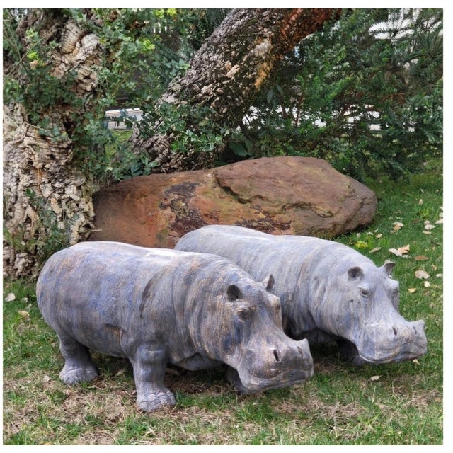 Large terracotta Hippopotamus, beautiful form of Hippopotamus amphibius Linnaeus, 1758.