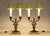 A striking matching pair of Neoclassic French Empire Regency twin Candelabra cold painted Bronze Tole style table lamps...