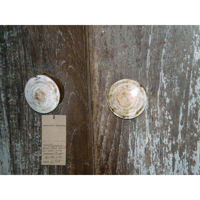 Andrianna Shamaris Shell and Teak Wood Door Knob For Sale - Image 14 of 18