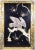 Early 20th Century Japanese Shibayama Bone Pearl Inlay Lacquer Panel For Sale - Image 13 of 13