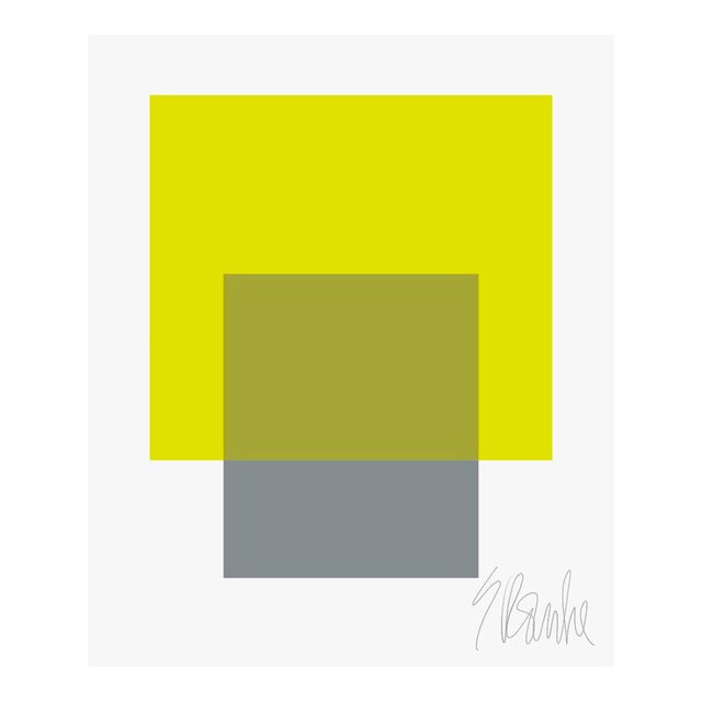 The Interaction of Lime Green and Gray Fine Art Print 30" X 40" by Liz