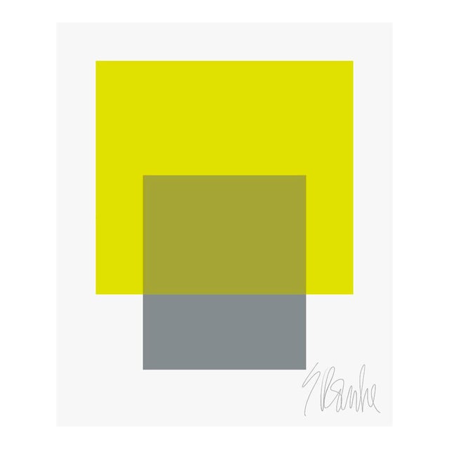 The Interaction of Lime Green and Gray Fine Art Print 30" X 40" by Liz Roache For Sale