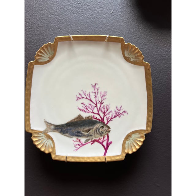 Antique Hand Painted Fish Plates Set 11 Pieces Chairish