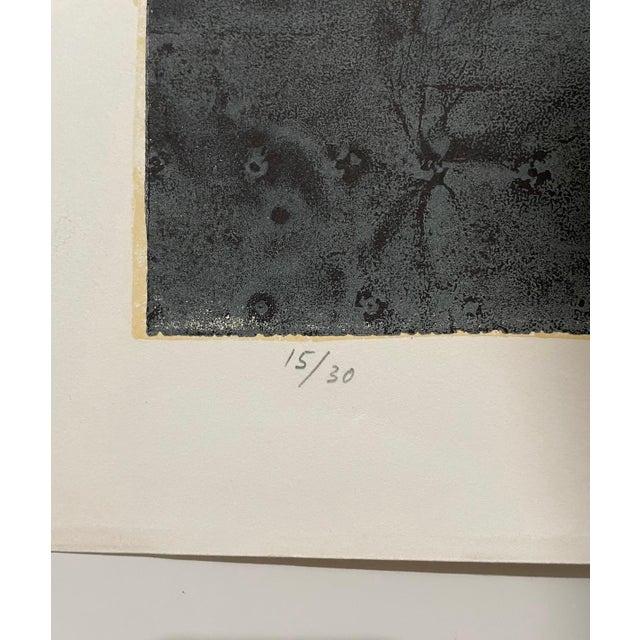 Michael Rothenstein, Ra, Large Michael Rothenstein British Pop Art Color Aquatint Etching Two Circles For Sale - Image 4 of 6