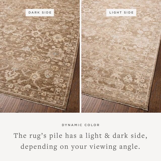 Brown Chris Loves Julia x Loloi Palma Brown / Earth 2'-3" x 3'-10" Accent Rug For Sale - Image 8 of 8
