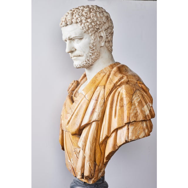 19th Century Marble Bust Marcus Aurelius Antonius, unknown For Sale - Image 5 of 6