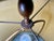 Frederick Cooper Vintage Frederick Cooper Chinoiserie Tea Canister Table Lamp With Original Silk Shade For Sale - Image 4 of 12