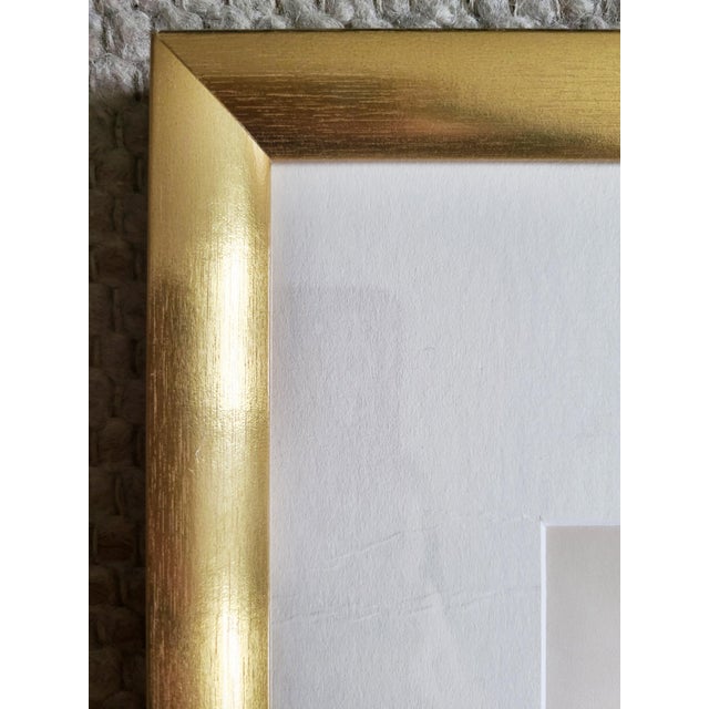 Orchids, 19th Century, Hand Coloured Print Montage For Sale - Image 12 of 13