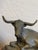 Signed Bronze “Range Baron” Longhorn Sculpture on Wood Base For Sale - Image 4 of 12