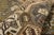 Antique Persian Bakhtiari Rug, 11'08 X 13'02 For Sale In Dallas - Image 6 of 10