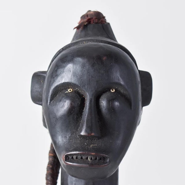 The Fang people, residing in Congo, Gabon, Equatorial Guinea, and Cameroon's rainforests, uphold a rich cultural heritage...
