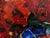 Oil Painting Poppies Are Red Oksana Ivanyuk For Sale - Image 6 of 10