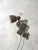 Bauhaus Grey Scissor Wall Lamp by H. Th. J. A. Busquet for Hala Zeist, Netherlands, 1940s For Sale - Image 3 of 15