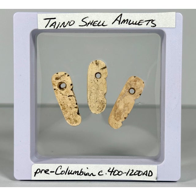 Shell Pre-Columbian Taino Shell Amulets: Zoomorphic Zemi Beads For Sale - Image 7 of 9