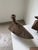 Brutalist Folk Art Bird Candlesticks, 1950s, Set of 3 For Sale - Image 17 of 18