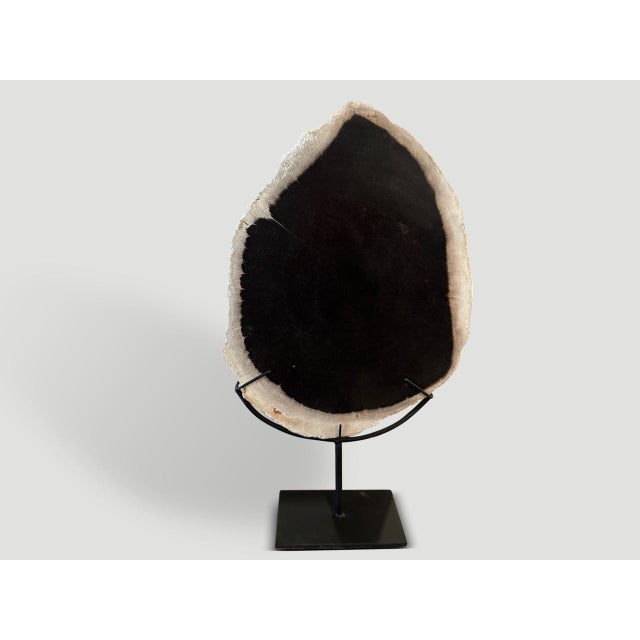 Andrianna Shamaris Minimalist Petrified Wood on Stand For Sale - Image 4 of 5