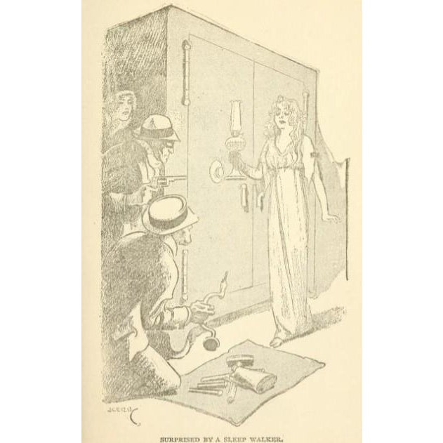 Why Crime Does Not Pay 1913 Signed by Sophie Lyons Antique Book Crime For Sale - Image 9 of 9