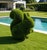 Whimsical Oversized Faux-Boxwood Squirrel Garden Sculpture For Sale In West Palm - Image 6 of 11
