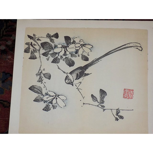 This set of three (3) vintage mid 20th century signed (in the plate) color lithographs (not offset) depict botanical...