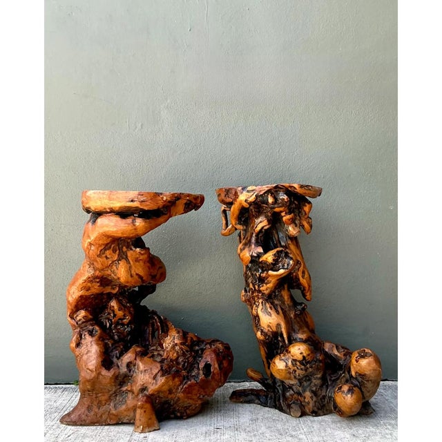Embodying the traditional Japanese reverence for raw nature, this extraordinary set of two vintage pedestals is carved...