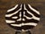 Pair of Midcentury French Guéridon Tables with Zebra Hide and Iron Tripod Bases For Sale - Image 11 of 11